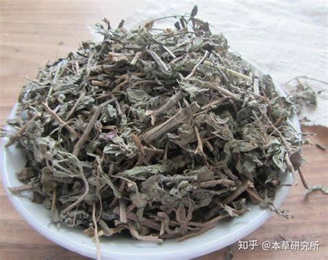 溪黃草茶的功效與作用(滋補(bǔ)養(yǎng)生/緩解疲勞/預(yù)防感冒)