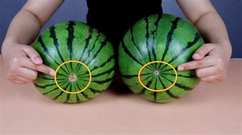 ϵײĈAȦfʲôȦԽ