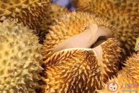 榴蓮沒(méi)熟打開(kāi)后怎么辦,可以蘋(píng)果催熟或加熱冷藏