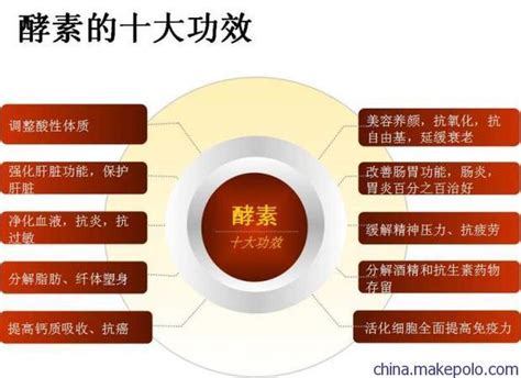 南瓜酵素的功效和作用