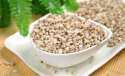 薏仁米的功效與作用及食用方法有哪些