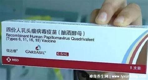ărhpvmȺg20
