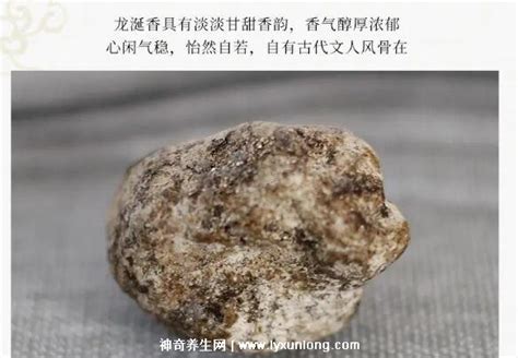 2023һ˶X(qin)r(ji)15