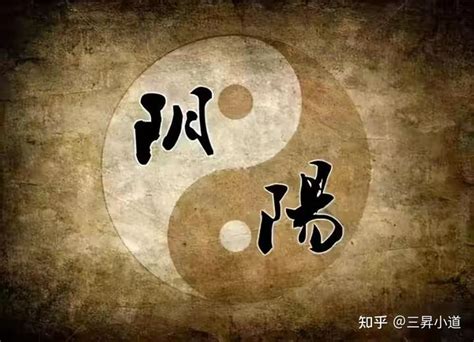 D(zhun)ꎵףД