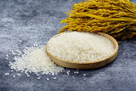 水稻是大米嗎,大米是稻谷加工而成 (稻谷是水稻果實(shí))