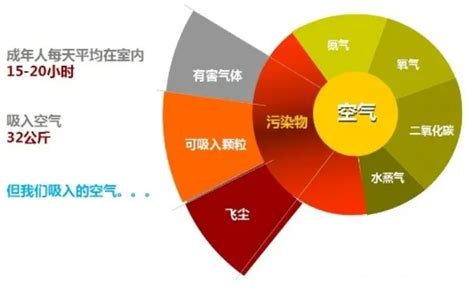 派力森噴劑:改善室內(nèi)空氣質量的理想選擇
