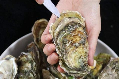 生蠔怎么清洗內(nèi)臟圖解視頻,撬開外殼去掉黑色內(nèi)臟(不去也行)