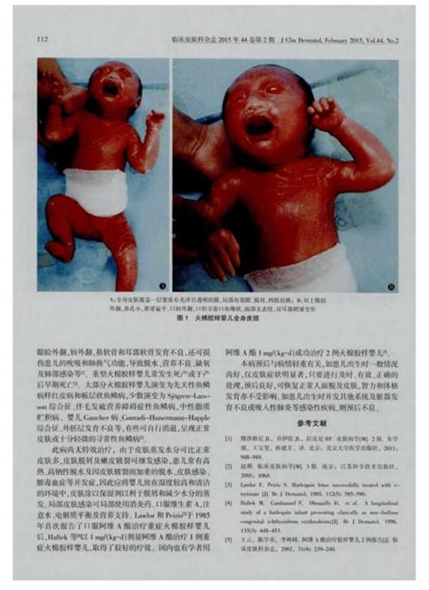 z냺L(zhng)DƬٲֻ