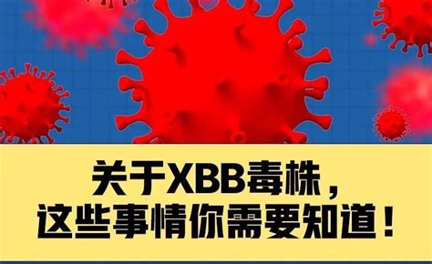 XBBʲôY(yn)؆ᣬ