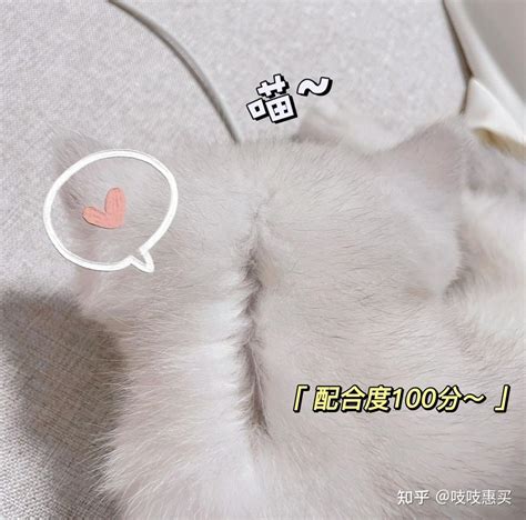 (q)x(chng)Xw(ni)(q)x(chng)10
